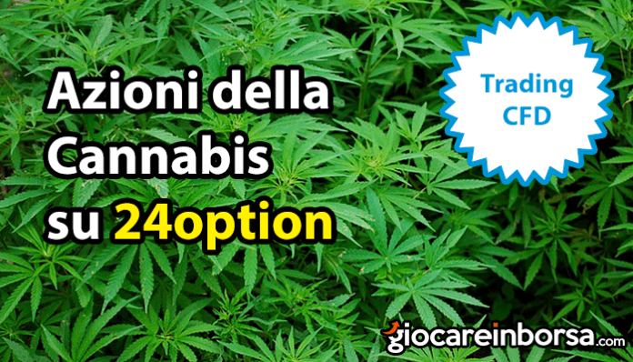 Azioni della Cannabis su 24option, disponibili per il trading online